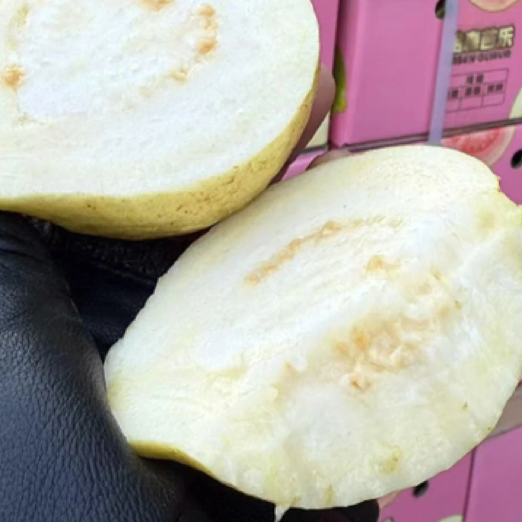 【万邦直发】树熟奶油芭乐香甜款一箱毛重3.3斤微软吃新鲜