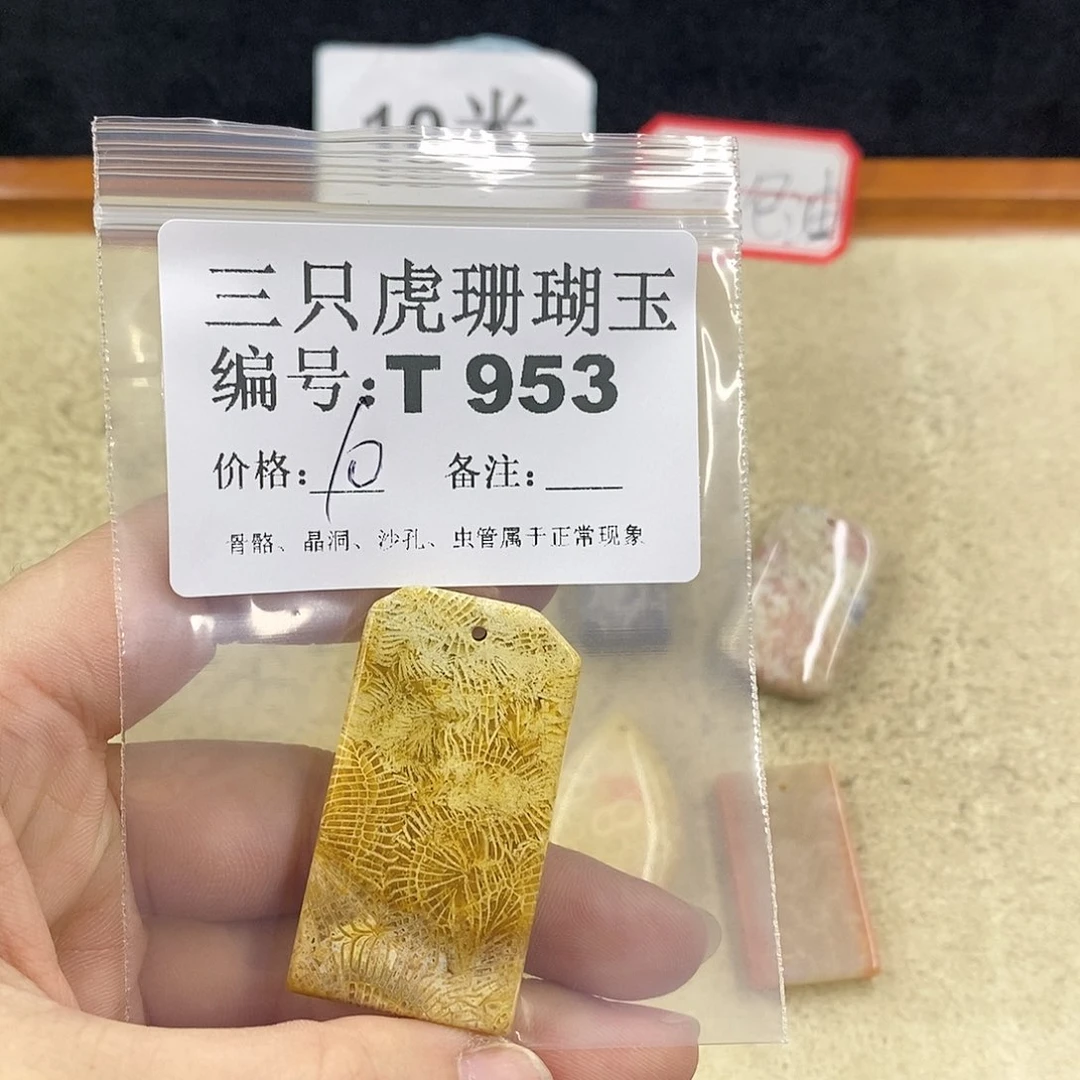 硅化珊瑚（珊瑚玉）1未镶嵌沉***山
