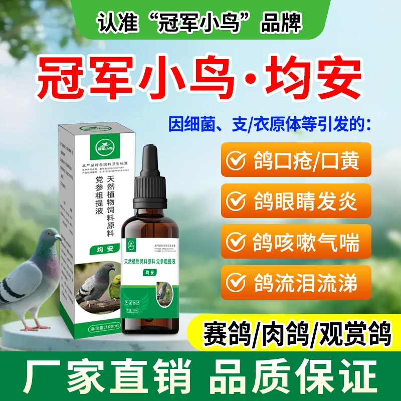 冠军小鸟均安:赛鸽沙门氏大肠杆菌黑肚皮鸽子专用药支原体衣原体