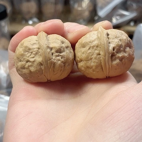 文玩核桃把件西王元宝带彩37