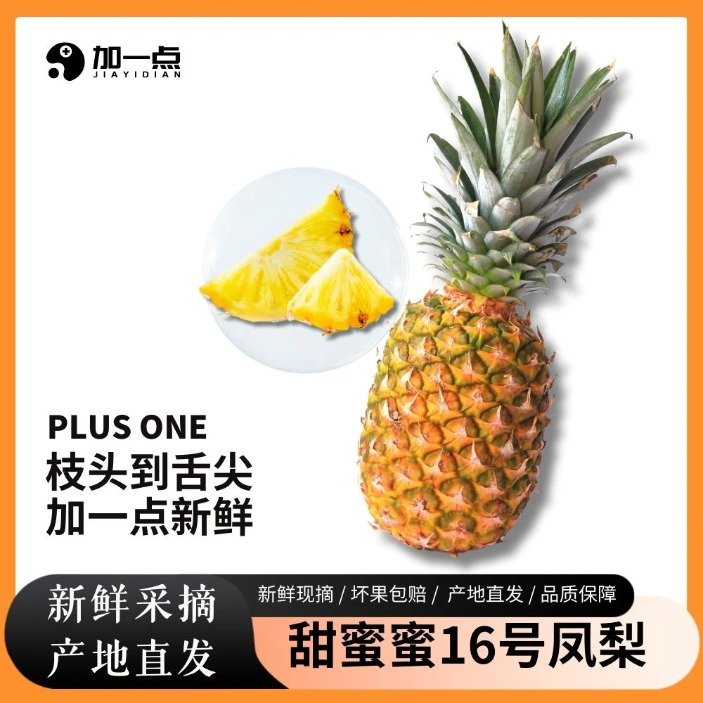 【加一点鲜生】海南直发！甜蜜蜜16号凤梨