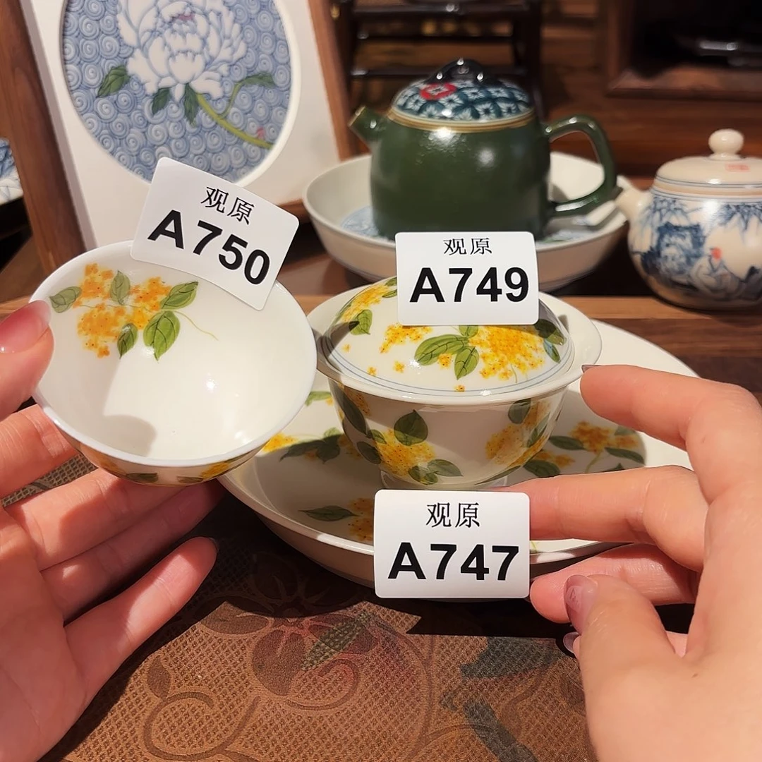 D***E瓷片陶瓷景德观原观原