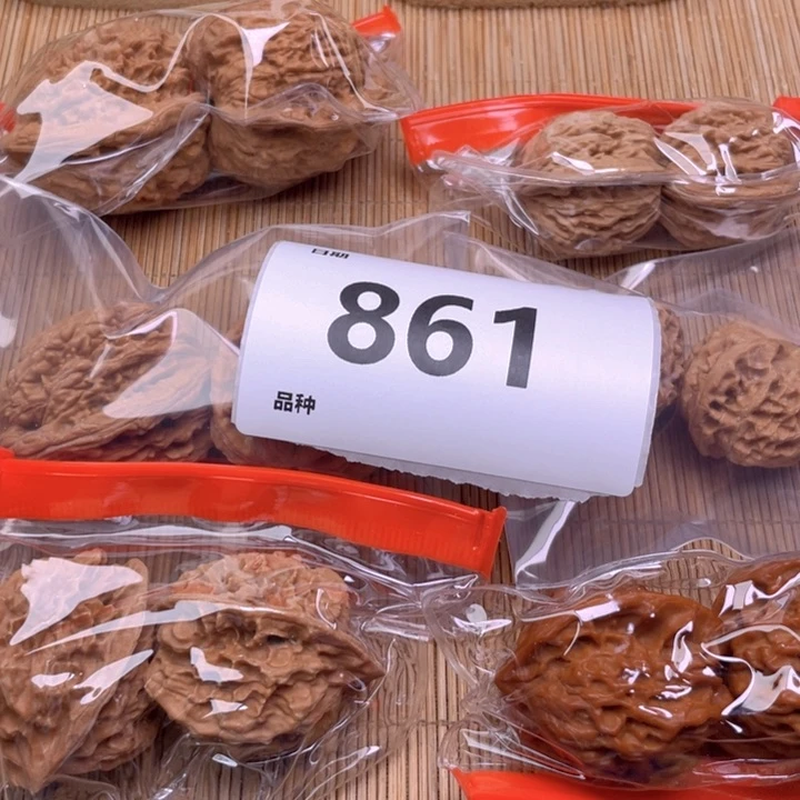 文玩核桃把件861号6对