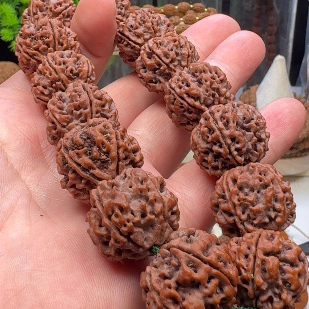 手串金刚菩提蜂窝双龙