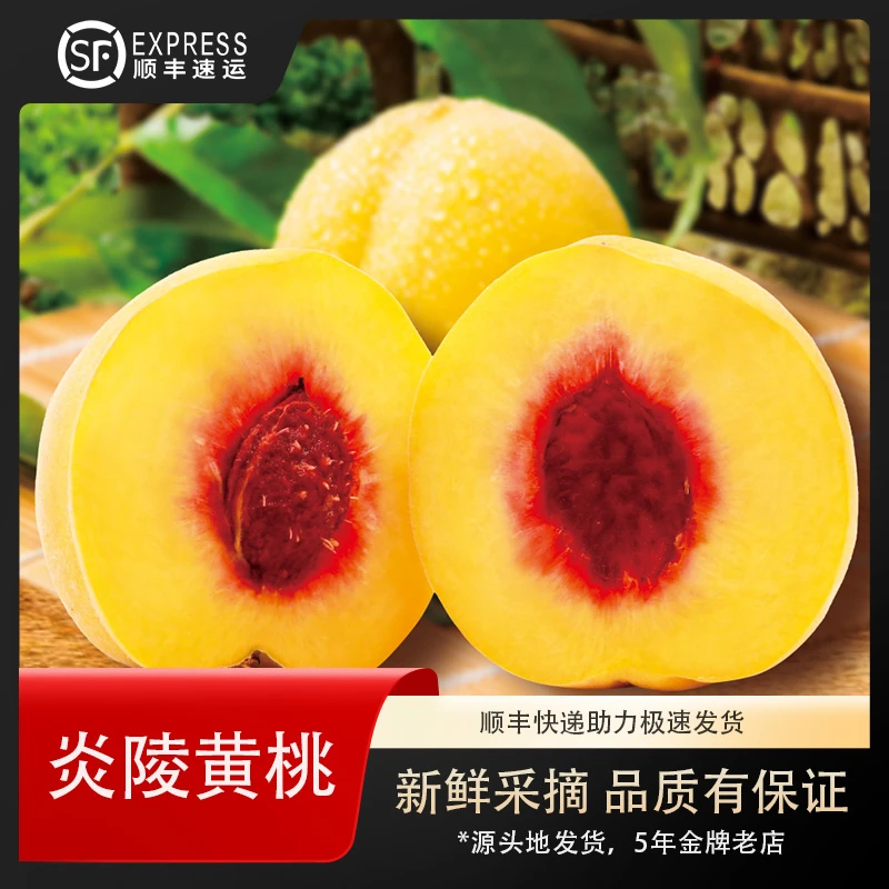炎陵黄桃【顺丰】黄桃高山黄桃脆黄桃锦绣精品装大果9颗