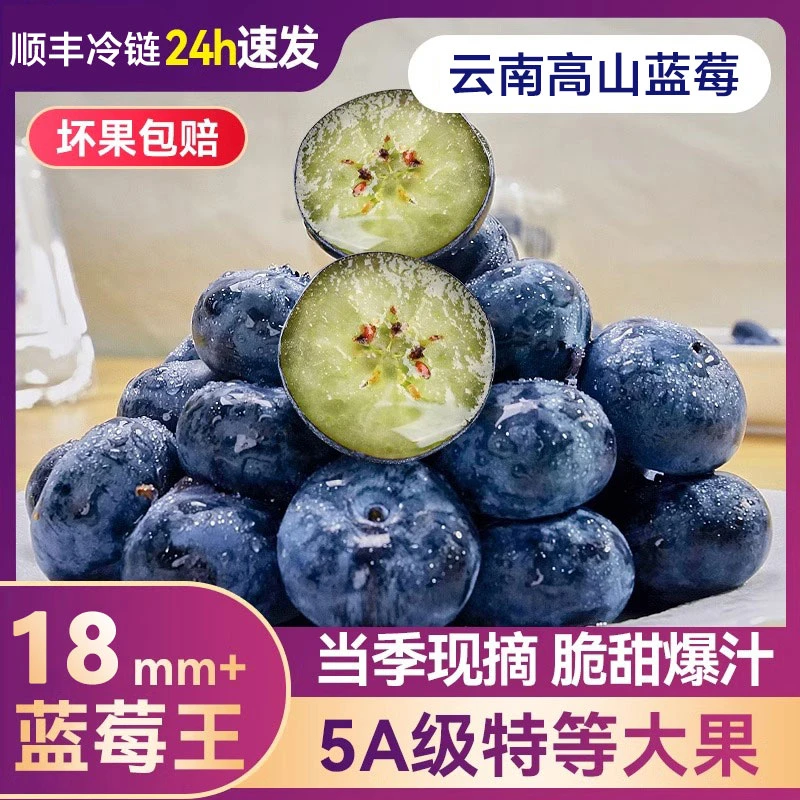 【顺丰包邮】云南高山花香L25特大蓝莓水果当季特大果孕妇宝宝辅食