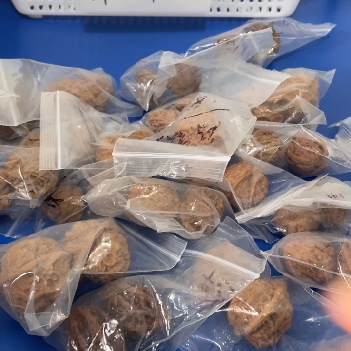 我不喜欢别人在外面瞎溜达