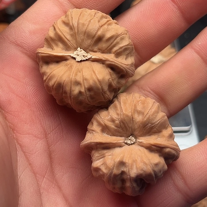 乐***爸把件文玩核桃门头沟