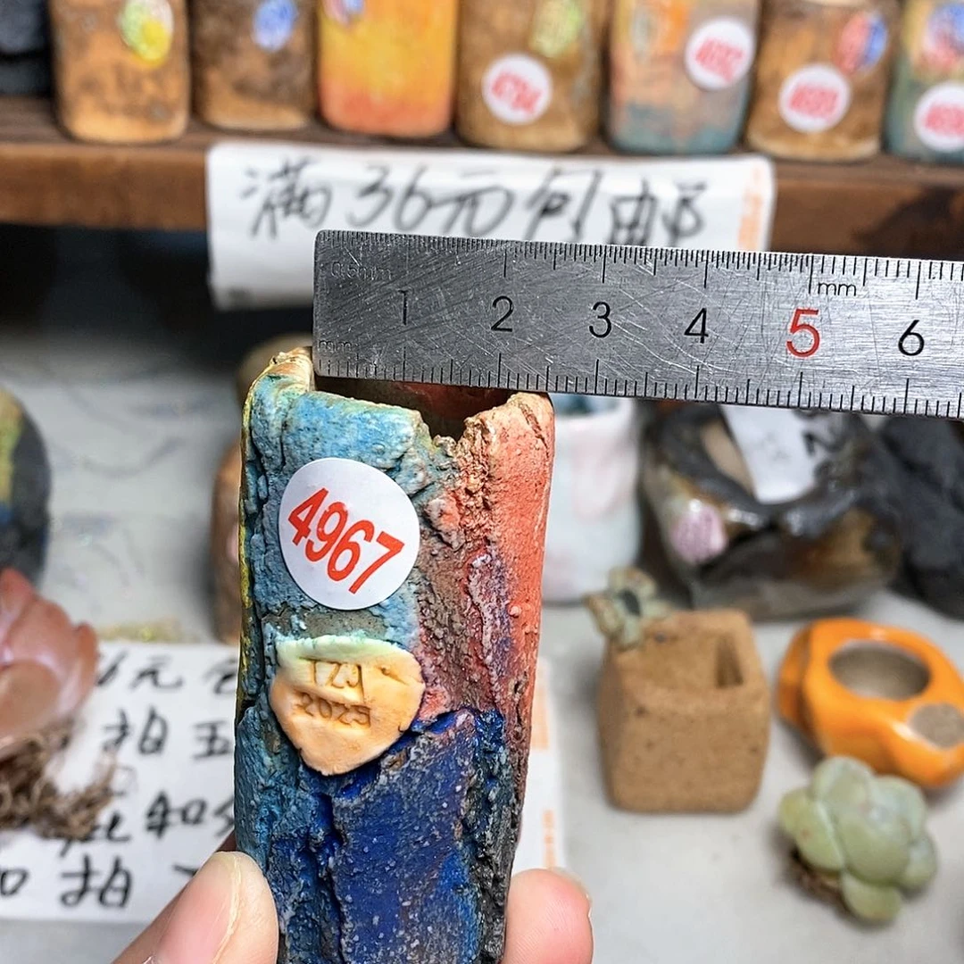 红陶拍5送一个小