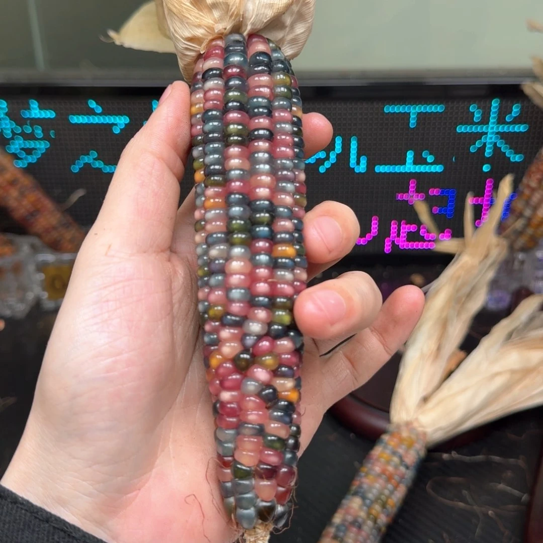 柏香籽/百香籽吊坠M**y