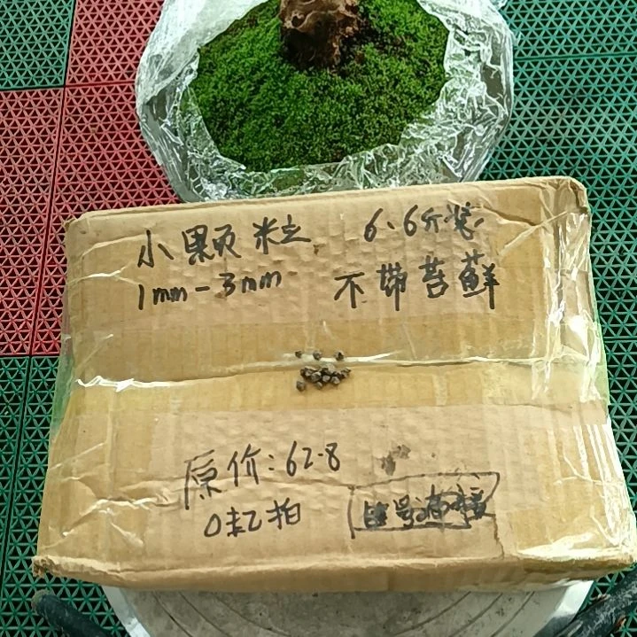 他***石兰菌颗粒   小颗粒6.6斤