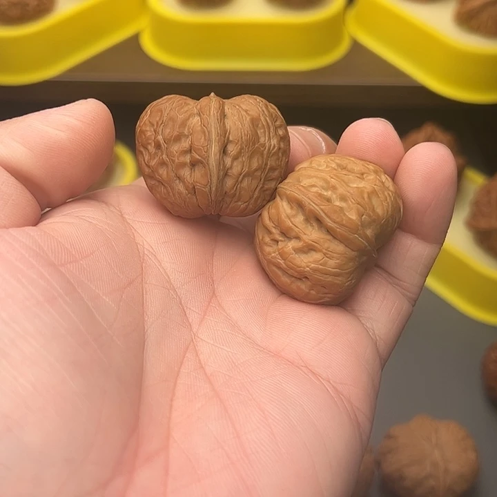 37尺精配头货翘肩元宝