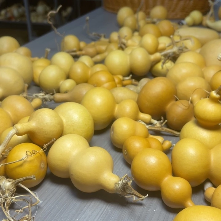 微***๑健健康康快快乐乐