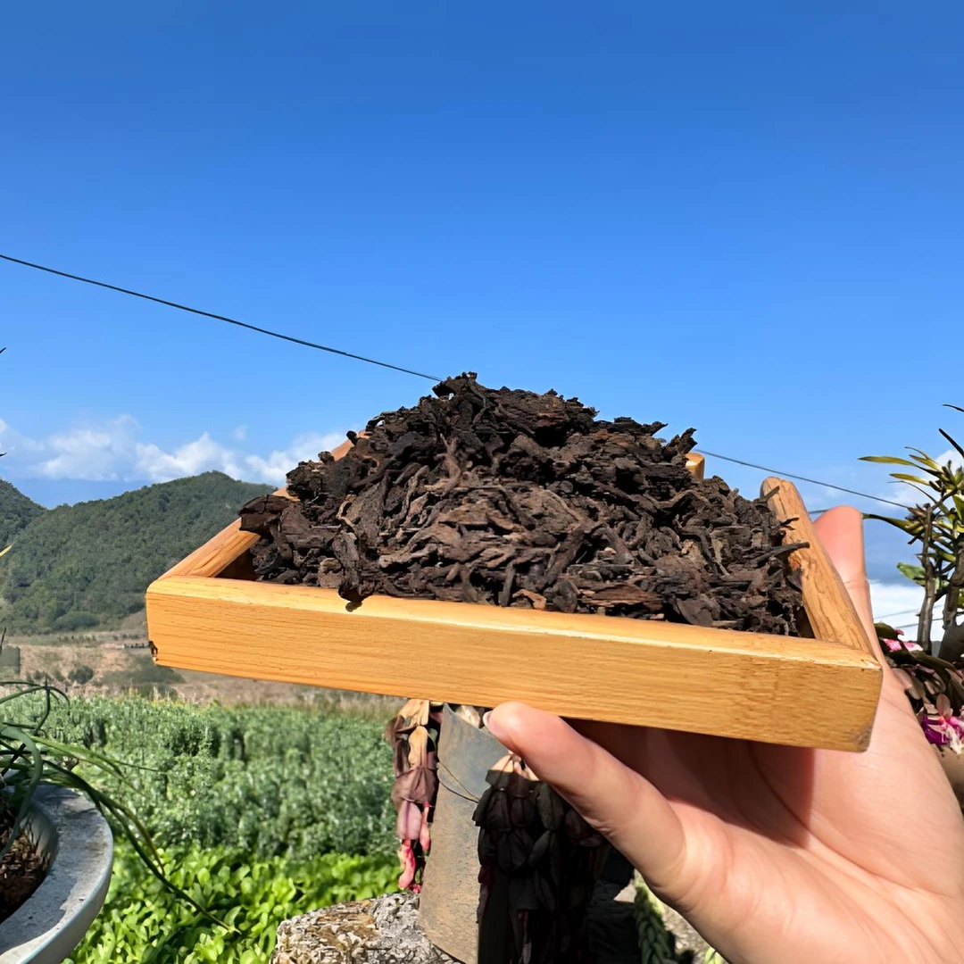 【古树熟茶】茶农自家古树春茶发酵普洱茶高端熟茶散茶