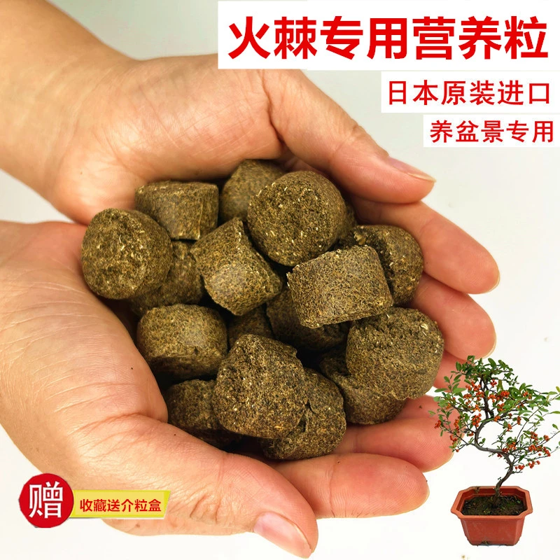 火棘专用营养粒长效有机缓释介质日本进口天然发酵颗粒盆景专用