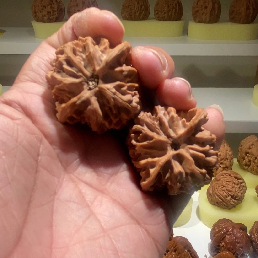 北***斯把件文玩核桃苹果园