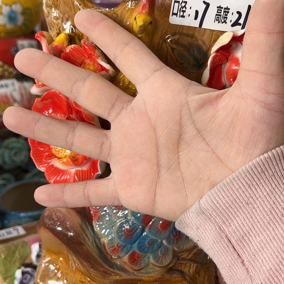 【闪购商品】红陶福利