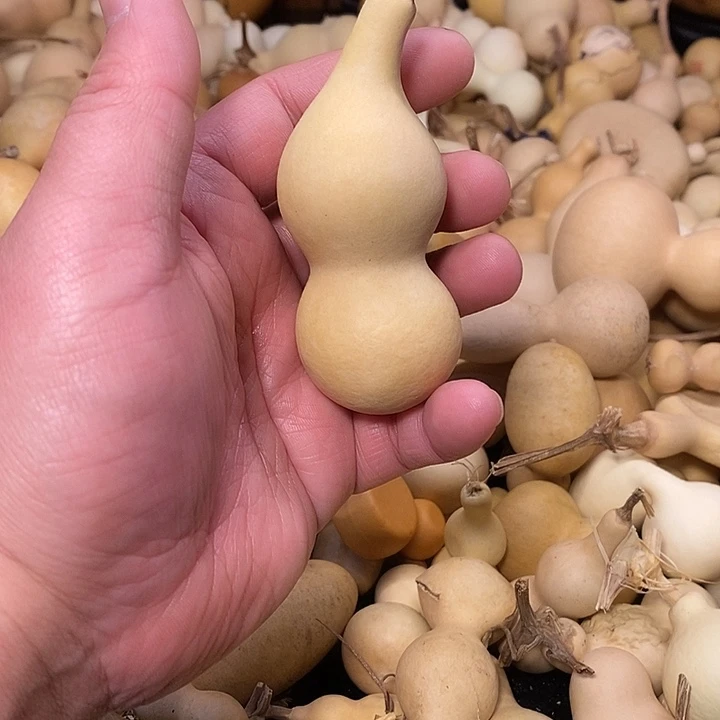 蒜****精品葫芦手把葫芦12