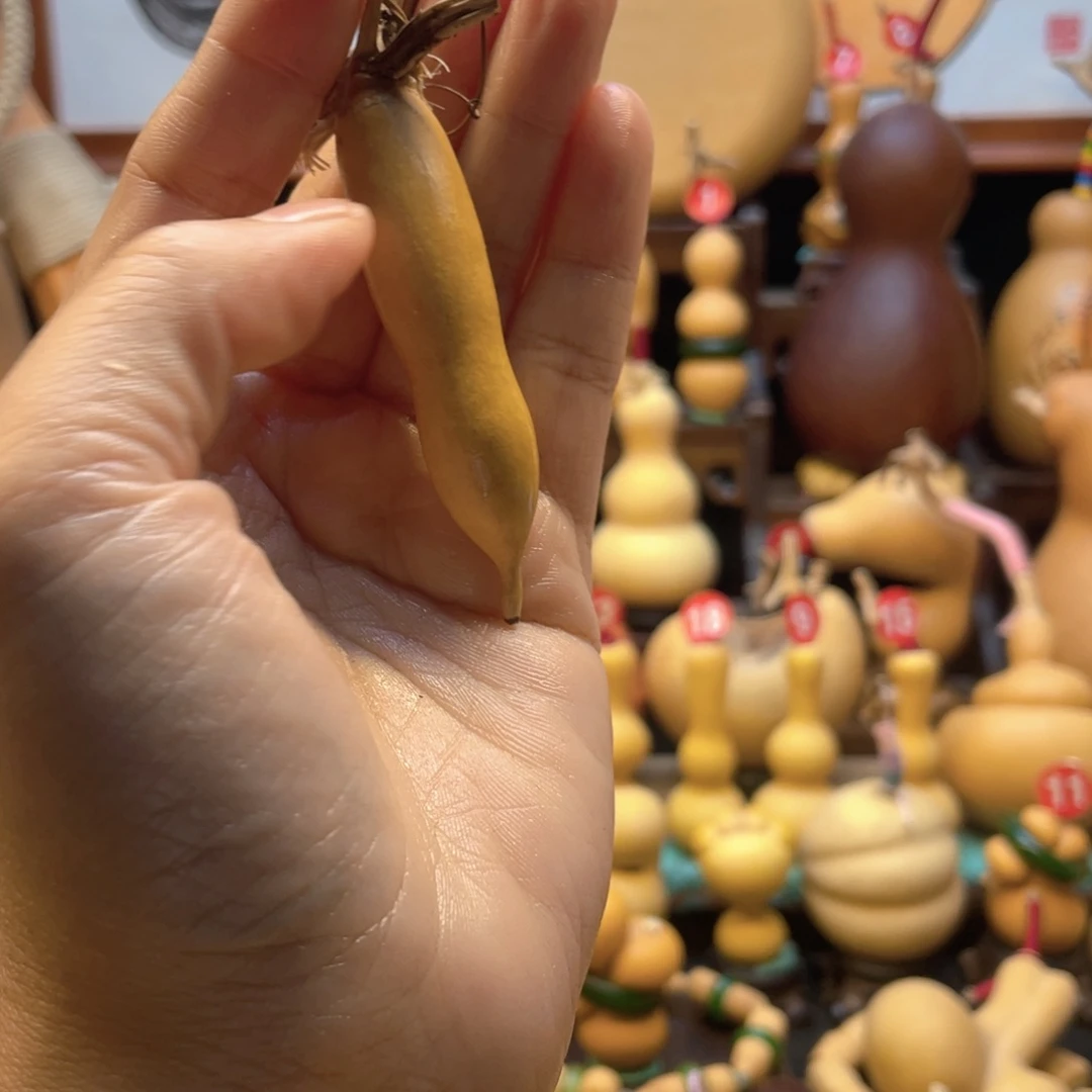 阿****1大自然的秘密是什么呢我想