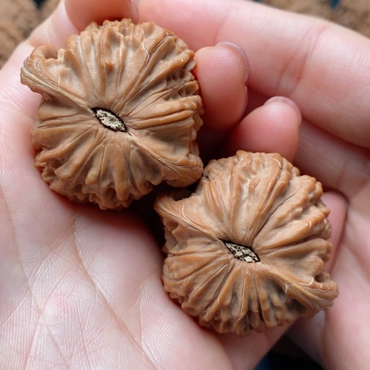 文玩核桃把件动**人41磨盘