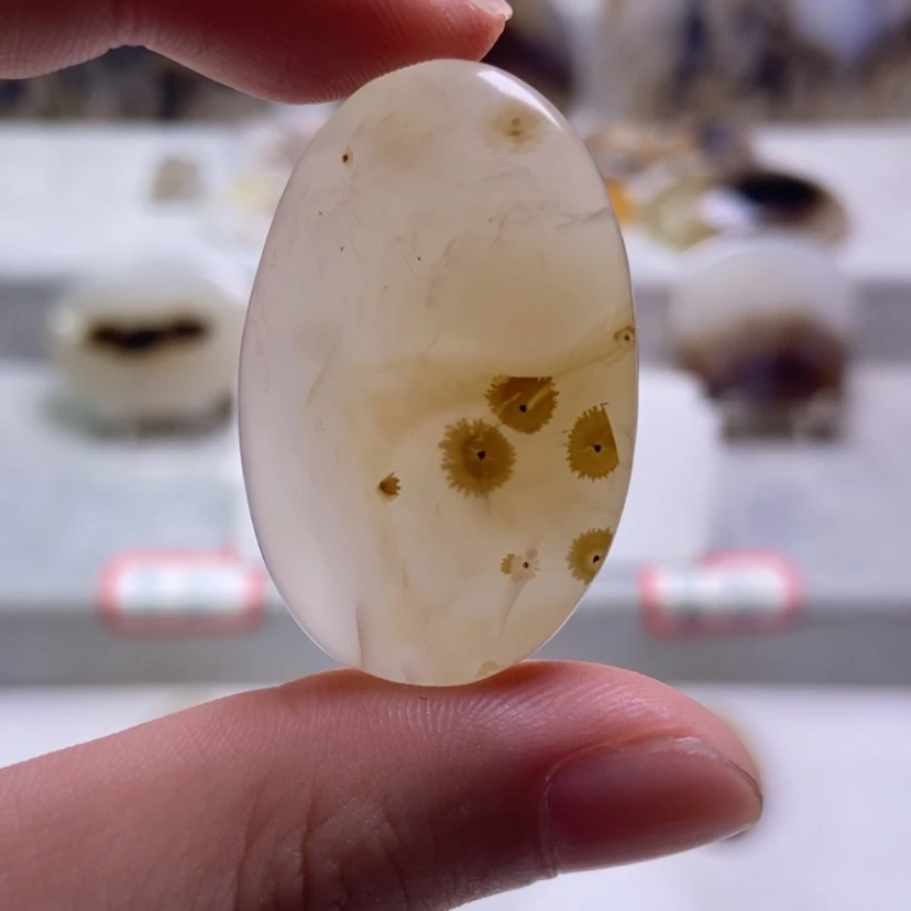 【闪购商品】未镶嵌玛瑙/玉髓珠宝奇石