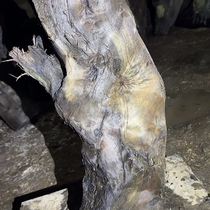 亿***声乌木金丝楠摆件毛料