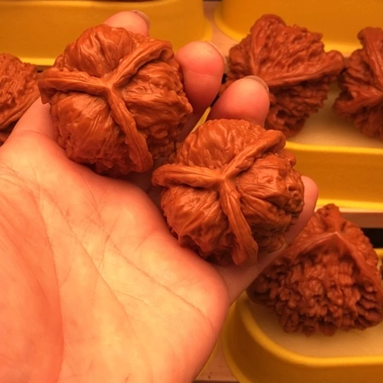 牛***牛核桃和他的核桃核桃和他