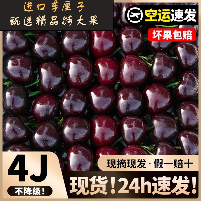 5斤5J大果桑提娜智利空运进口甜车厘子大樱桃顺丰XL（内附果径卡）