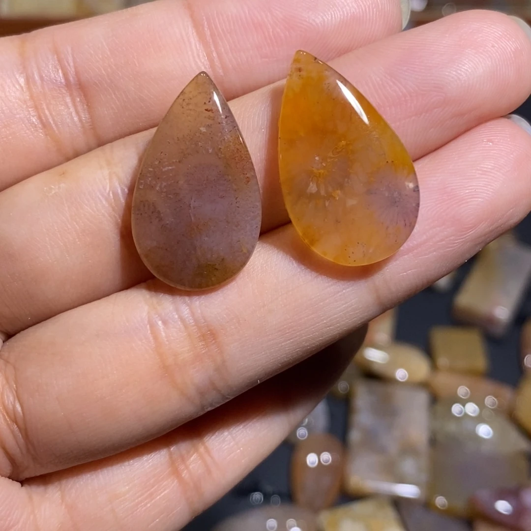 【闪购商品】未镶嵌珊瑚玉硅化玉