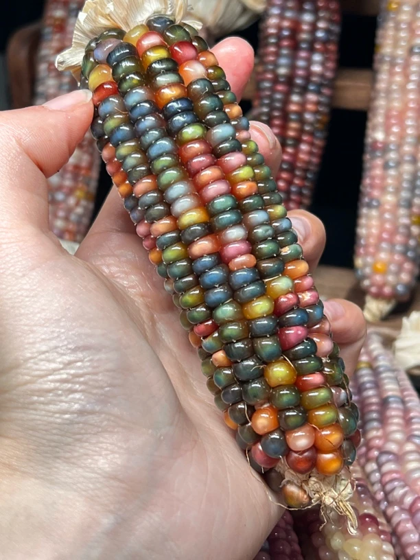 文玩玉米直播间一物一拍