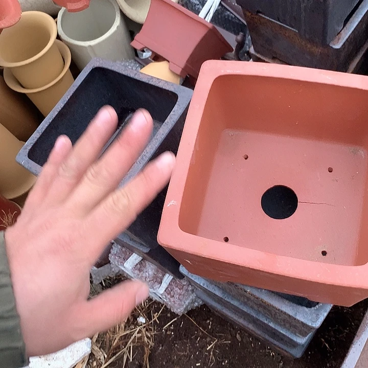 紫砂淘宝的朋友也都