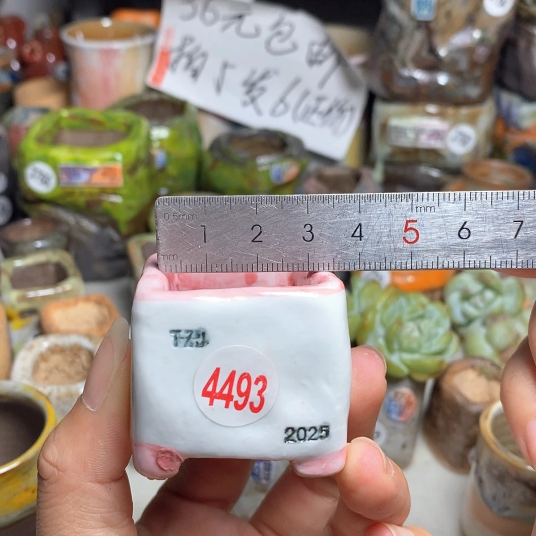 拍5送一个小礼物