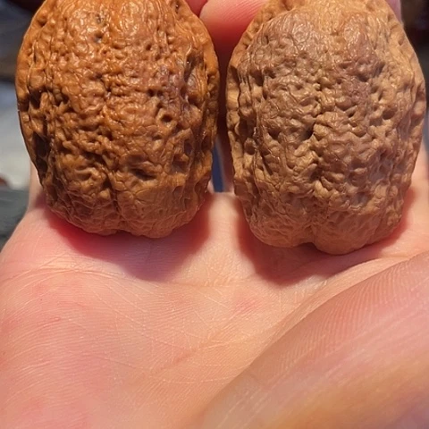 把件文玩核桃镇妖塔彩阴色差39