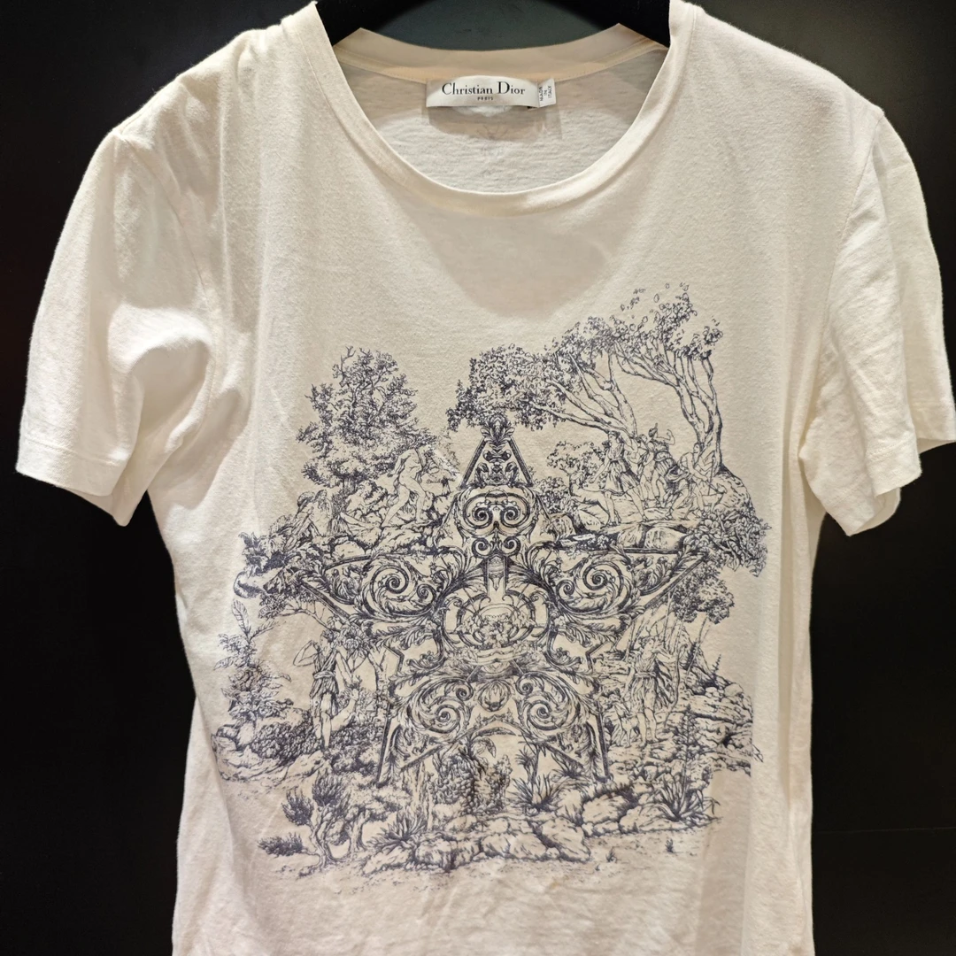95新 DIOR/迪奥 印花体恤S码白色/250516LJFYQ05