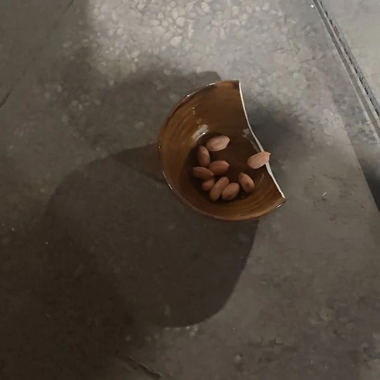 瓷片陶瓷盘子碗啥都有