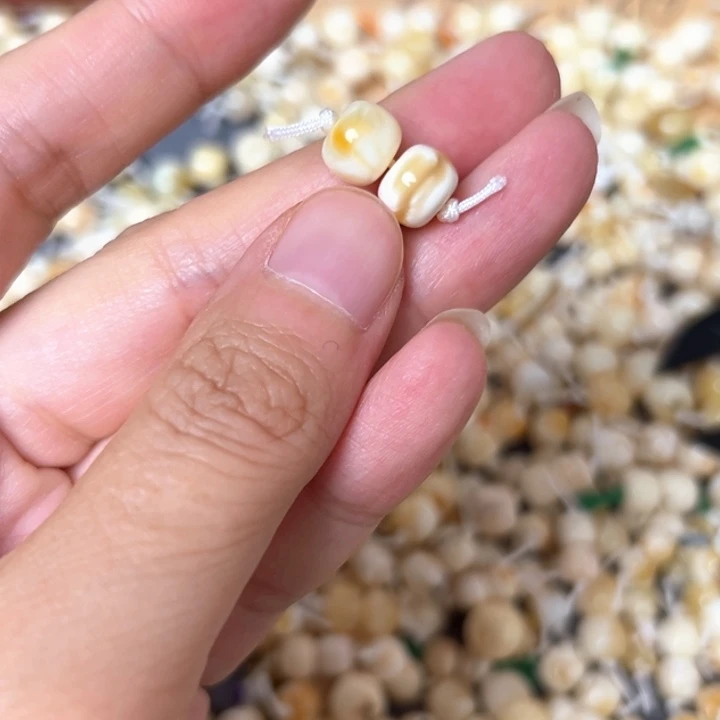 裸石蜜蜡未镶嵌8.2mm一对