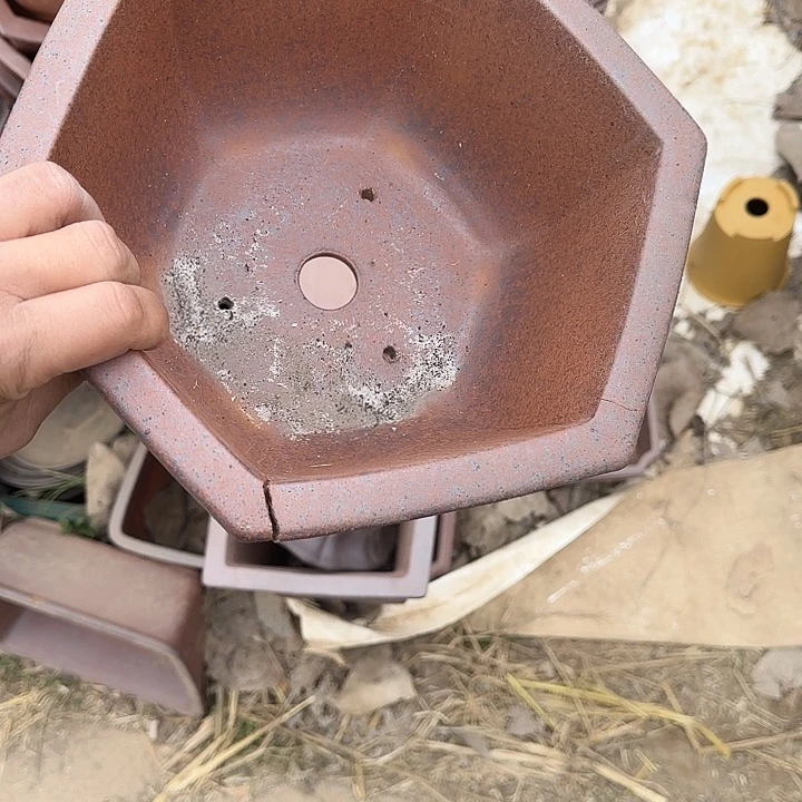 在家里等了你三分钟还等