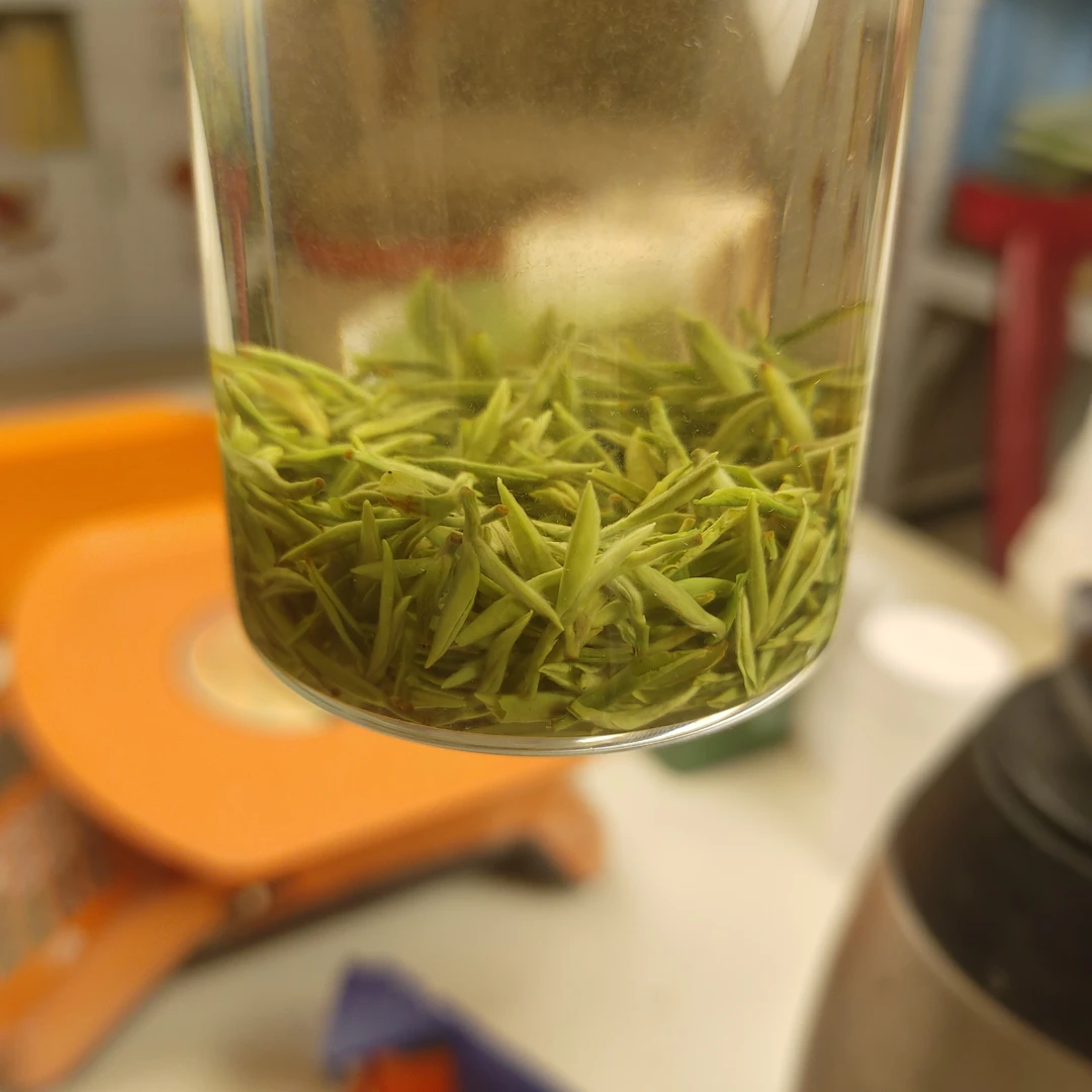 【栗香明前小芽尖】明前信阳毛尖纯芽头小芽尖栗香香醇一口鲜甜回甘