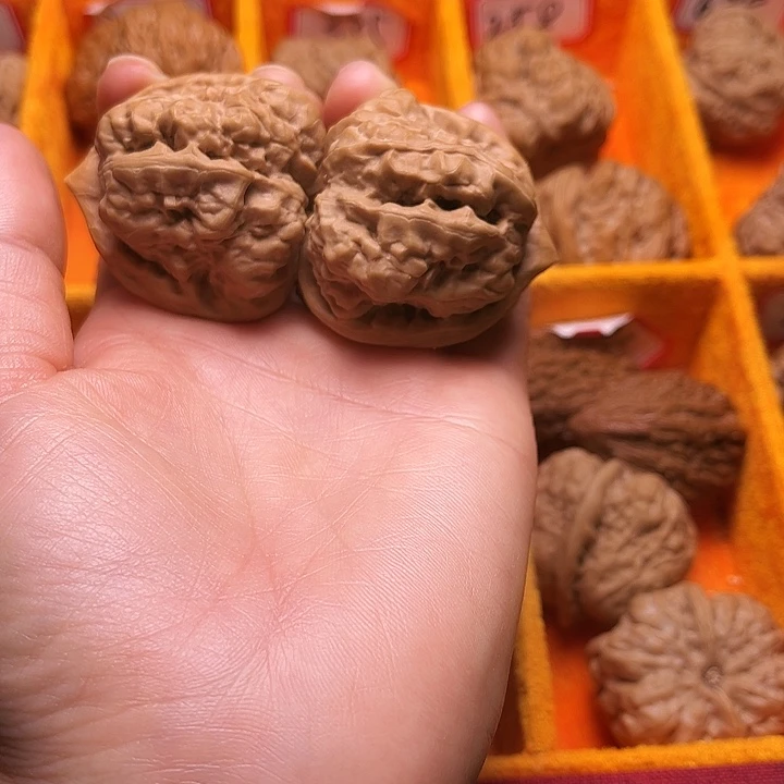 核桃涞水山地果蛤莫头42尺