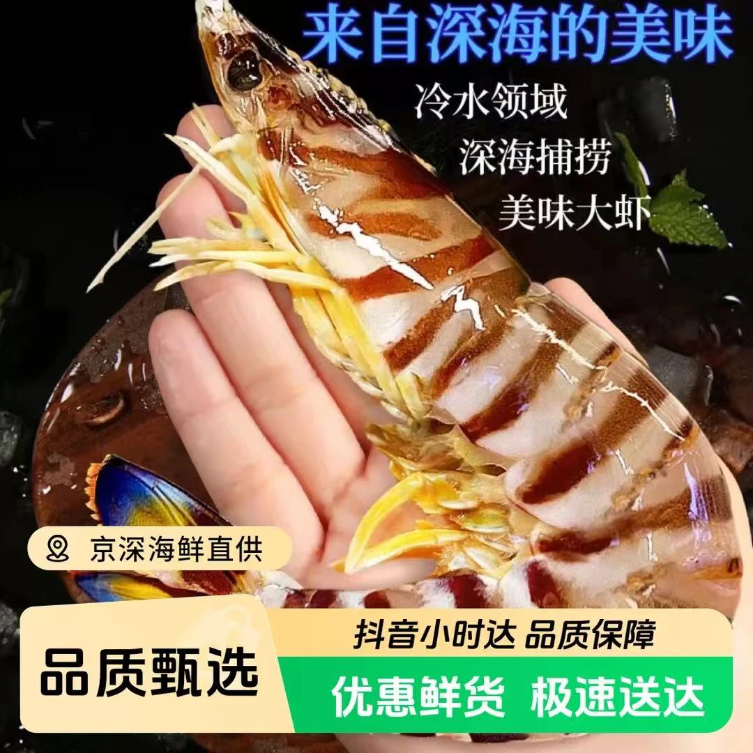 鲜活 大花虾500g/份一斤约5-9只