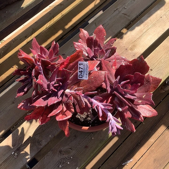 臭***活钻石锦 471 基地已转处理玻璃心勿扰