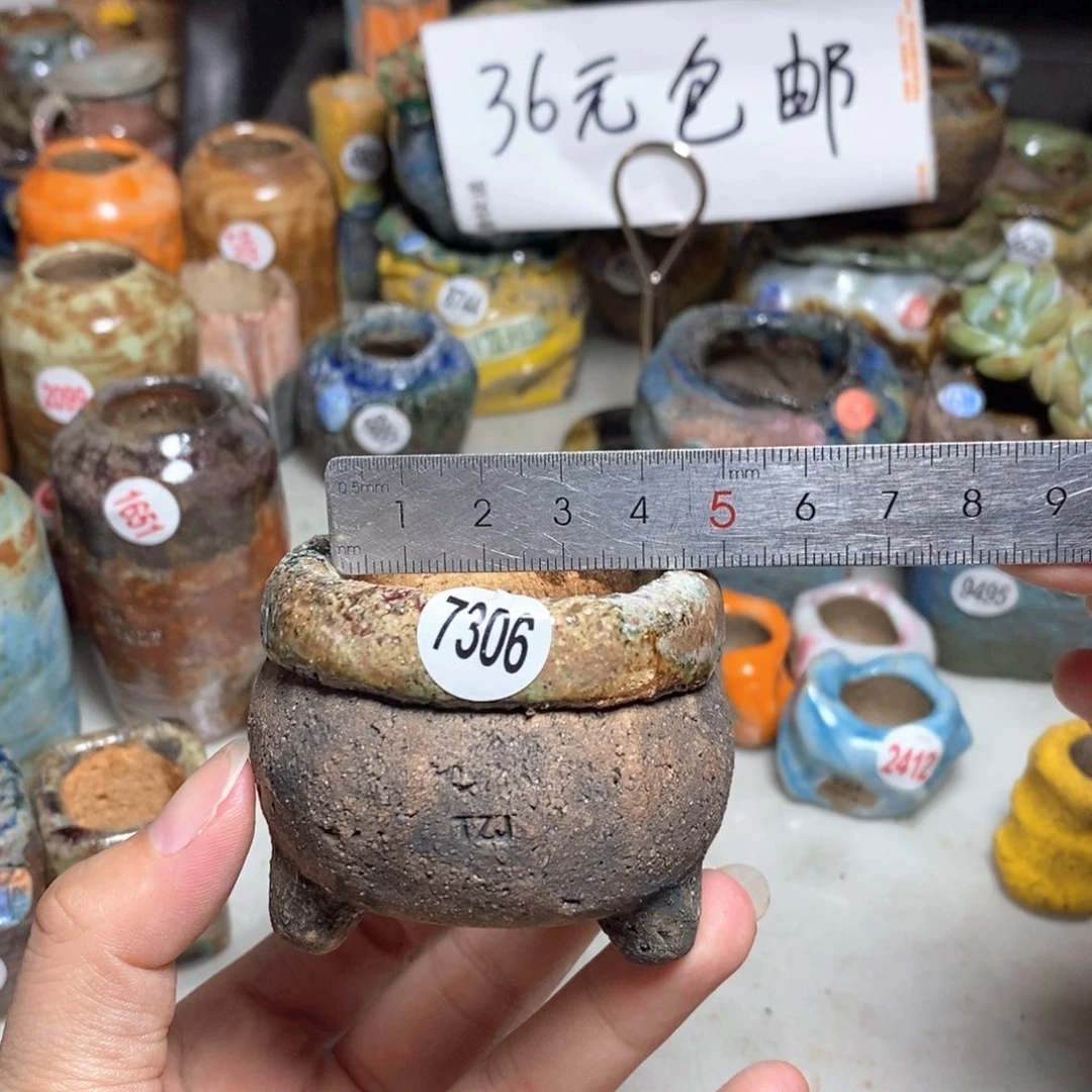 拍3送一个小礼物