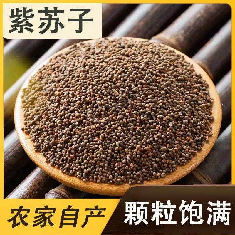 紫苏东北紫苏子食用苏子粒熟紫苏子泡水新货苏子生紫苏籽新鲜干货