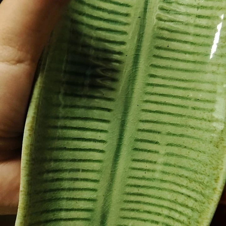 白***欢瓷片喜欢的朋友不要错过