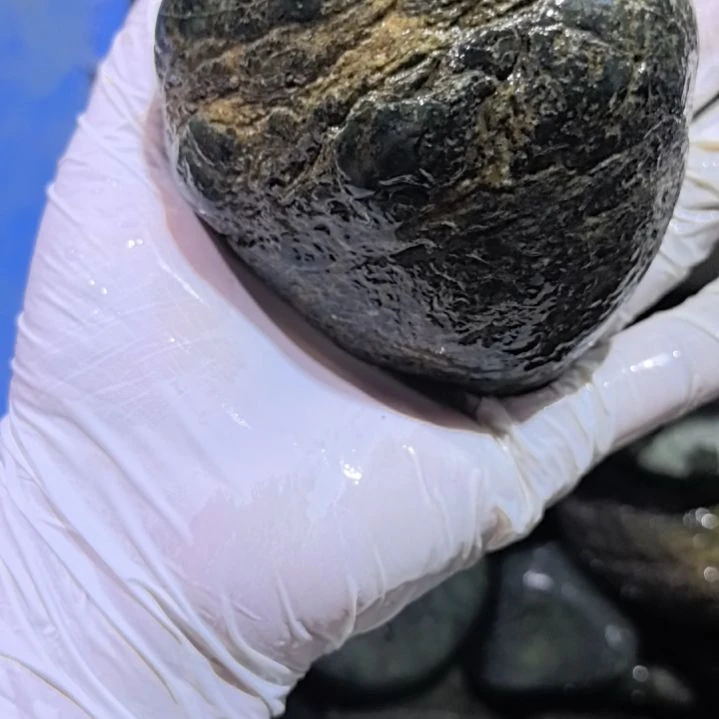 轻***舟木藏玉药王石原石，