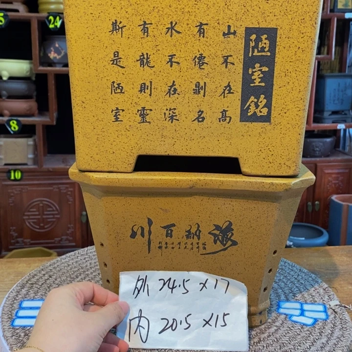 花盆紫砂紫砂花盆