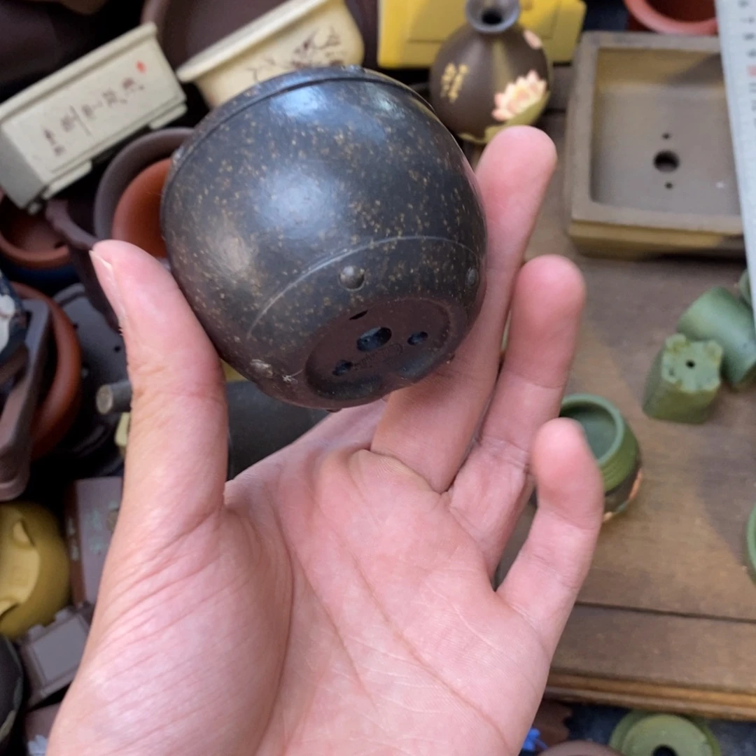 vvvvvvvvvvvvvvvvvvvvvvvv