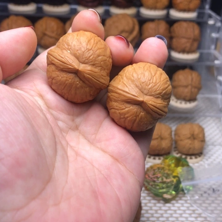 把件文玩核桃59霸王筋33+