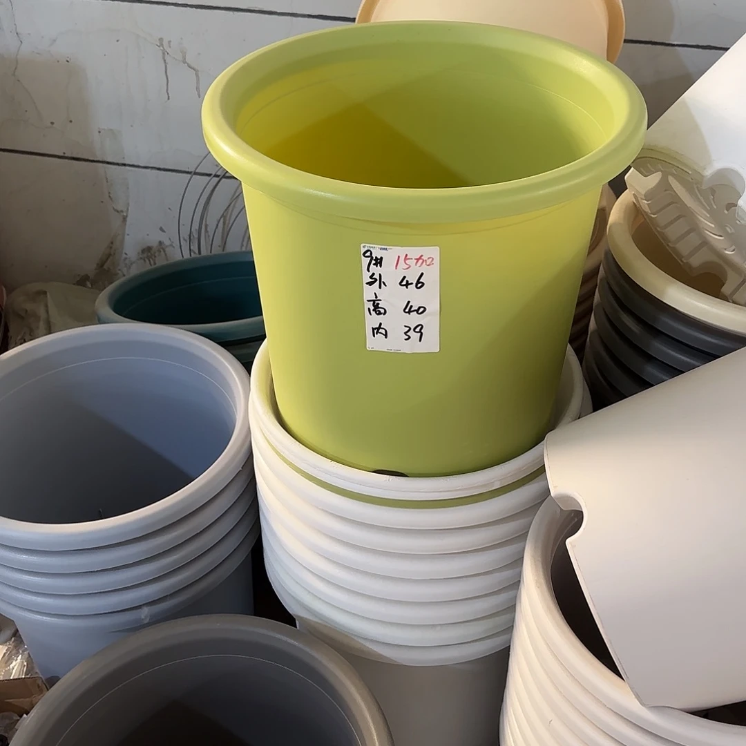 微瑕9号2个无托，果绿