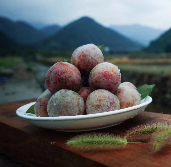 胡哥家的嵊州桃形李礼盒装一箱带箱五斤